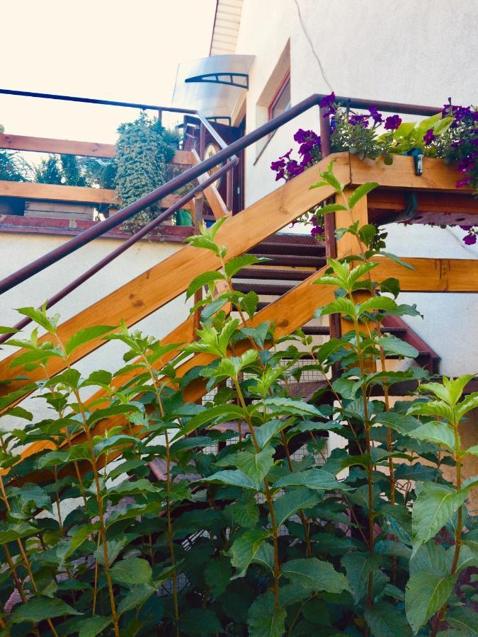 Apartament Delux Z Tarasem Apartment Sierpc Bagian luar foto